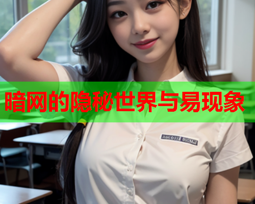 暗网的隐秘世界与易现象