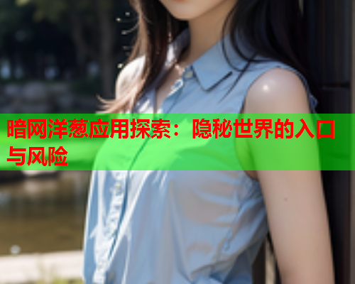 暗网洋葱应用探索：隐秘世界的入口与风险
