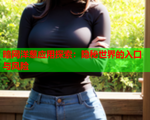暗网洋葱应用探索：隐秘世界的入口与风险