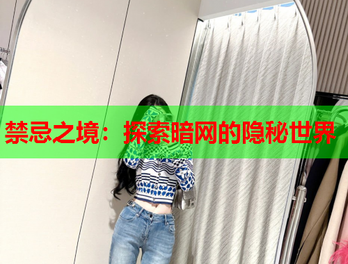 禁忌之境：探索暗网的隐秘世界