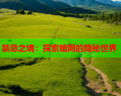 禁忌之境：探索暗网的隐秘世界