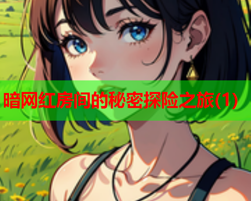 暗网红房间的秘密探险之旅(1)
