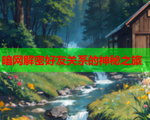 暗网解密好友关系的神秘之旅