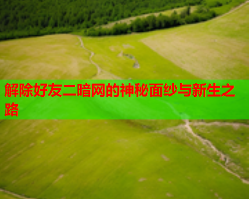 解除好友二暗网的神秘面纱与新生之路