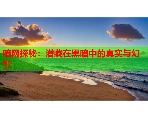暗网探秘：潜藏在黑暗中的真实与幻影