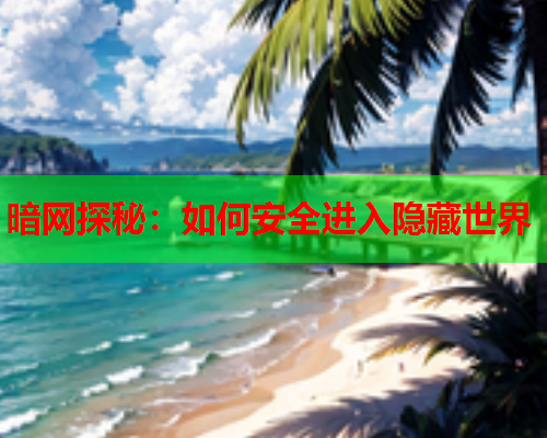 暗网探秘：如何安全进入隐藏世界