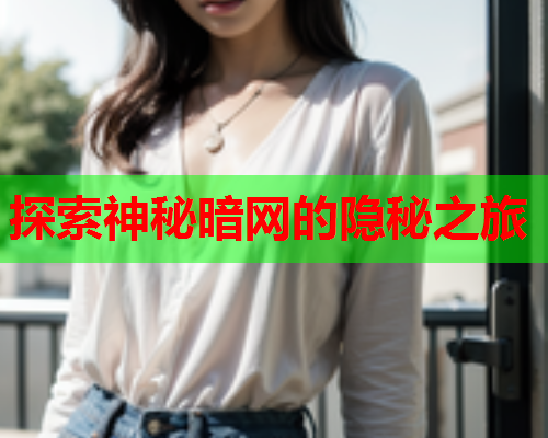 探索神秘暗网的隐秘之旅