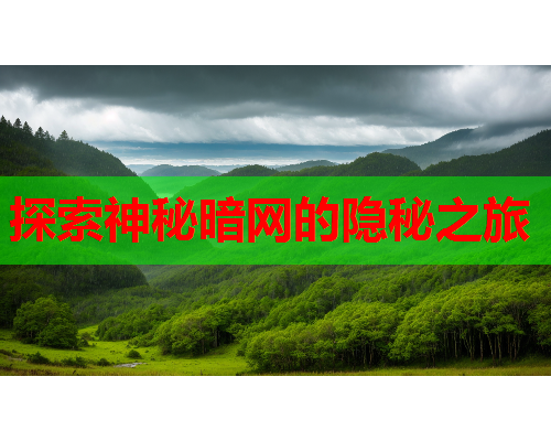 探索神秘暗网的隐秘之旅