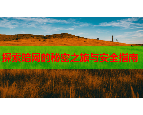 探索暗网的秘密之旅与安全指南