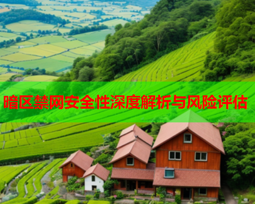 暗区禁网安全性深度解析与风险评估
