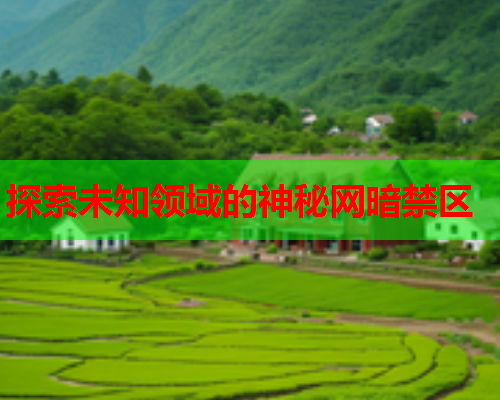 探索未知领域的神秘网暗禁区