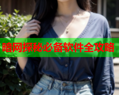 暗网探秘必备软件全攻略