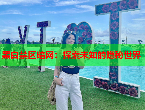 黑白禁区暗网：探索未知的隐秘世界