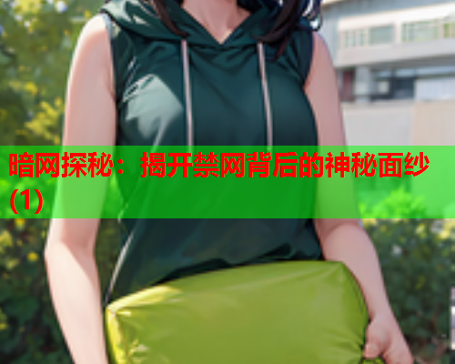 暗网探秘：揭开禁网背后的神秘面纱(1)