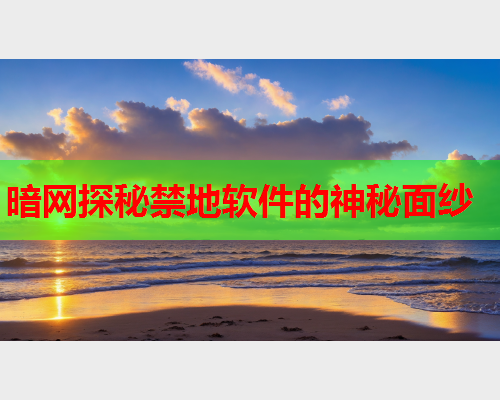 暗网探秘禁地软件的神秘面纱