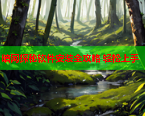 暗网探秘软件安装全攻略 轻松上手