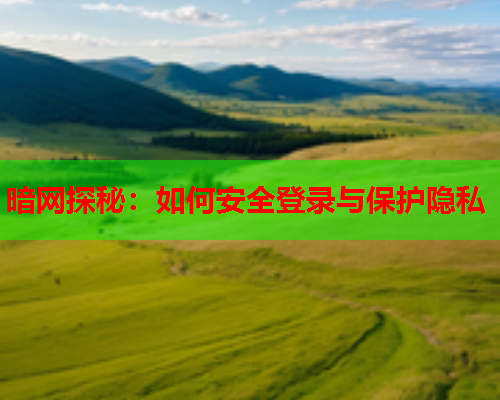 暗网探秘：如何安全登录与保护隐私