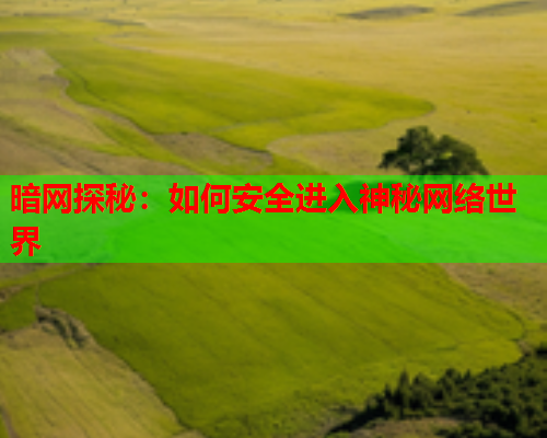 暗网探秘：如何安全进入神秘网络世界
