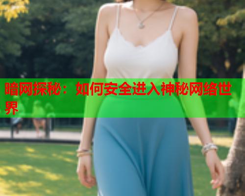暗网探秘：如何安全进入神秘网络世界