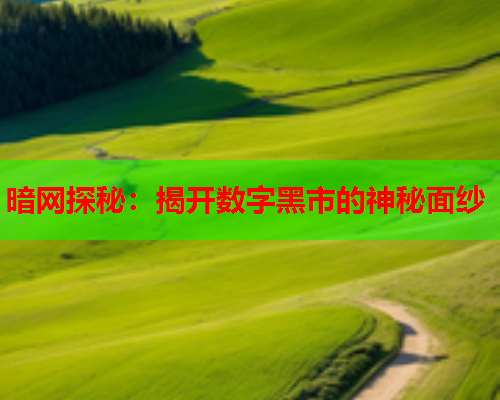 暗网探秘：揭开数字黑市的神秘面纱
