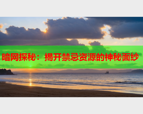 暗网探秘：揭开禁忌资源的神秘面纱