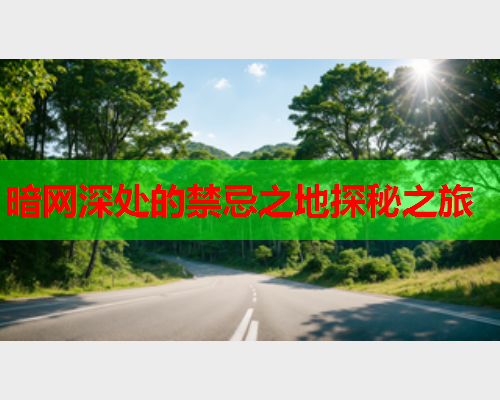 暗网深处的禁忌之地探秘之旅