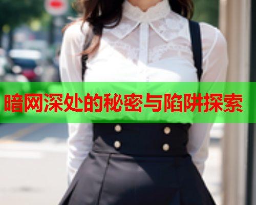 暗网深处的秘密与陷阱探索