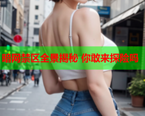 暗网禁区全景揭秘 你敢来探险吗
