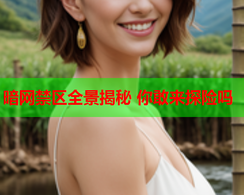 暗网禁区全景揭秘 你敢来探险吗