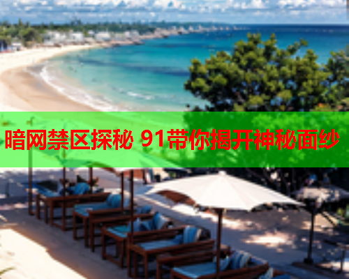 暗网禁区探秘 91带你揭开神秘面纱