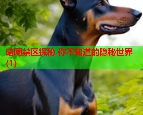 暗网禁区探秘 你不知道的隐秘世界(1)