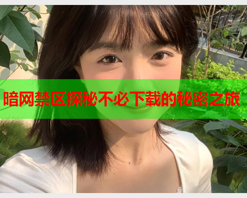 暗网禁区探秘不必下载的秘密之旅