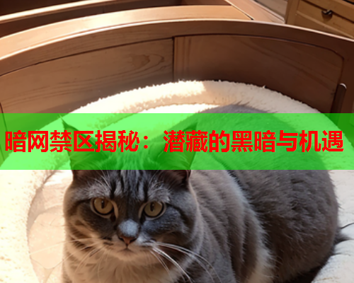 暗网禁区揭秘：潜藏的黑暗与机遇