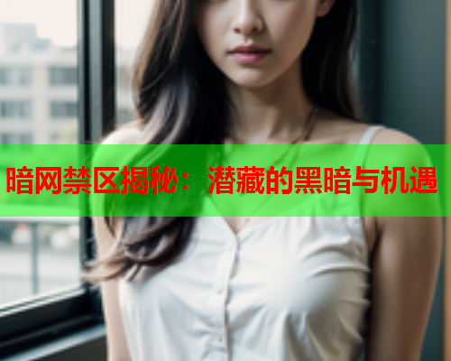 暗网禁区揭秘：潜藏的黑暗与机遇