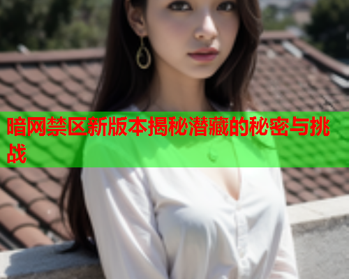 暗网禁区新版本揭秘潜藏的秘密与挑战