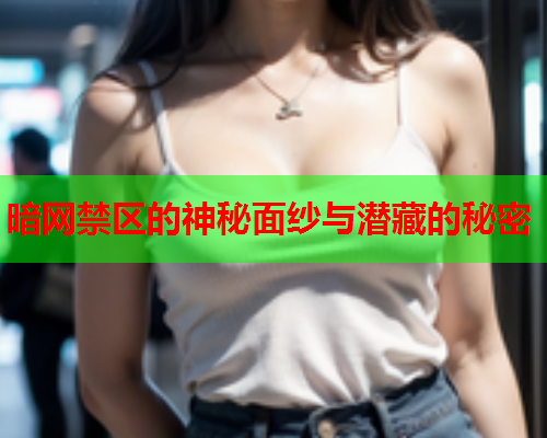 暗网禁区的神秘面纱与潜藏的秘密