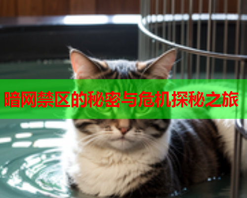 暗网禁区的秘密与危机探秘之旅