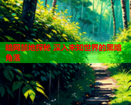 暗网禁地探秘 深入未知世界的黑暗角落