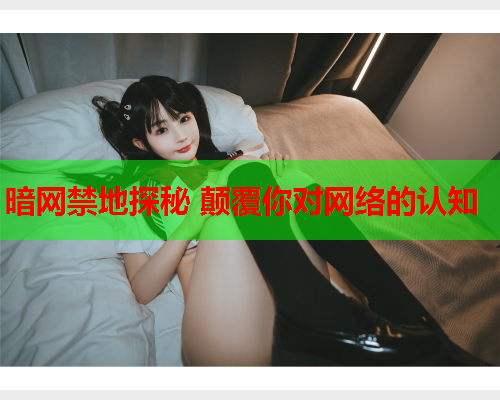 暗网禁地探秘 颠覆你对网络的认知