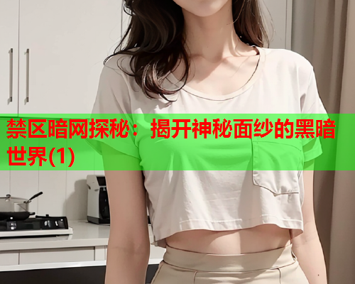 禁区暗网探秘：揭开神秘面纱的黑暗世界(1)