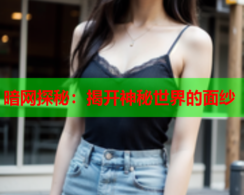 暗网探秘：揭开神秘世界的面纱