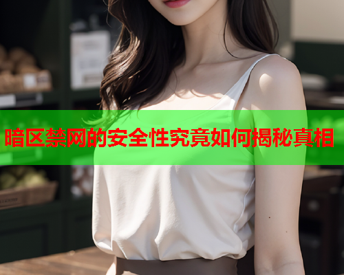 暗区禁网的安全性究竟如何揭秘真相