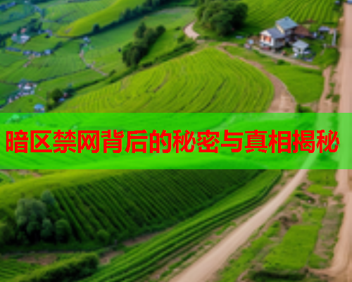 暗区禁网背后的秘密与真相揭秘