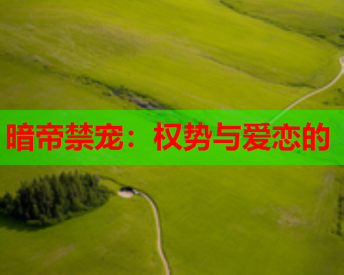 暗帝禁宠：权势与爱恋的