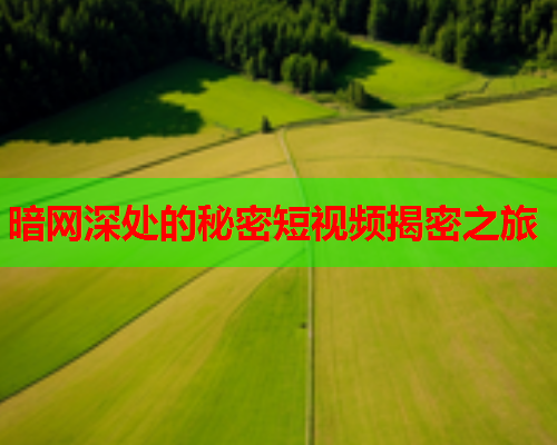 暗网深处的秘密短视频揭密之旅