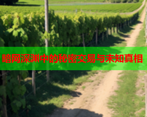 暗网深渊中的秘密交易与未知真相