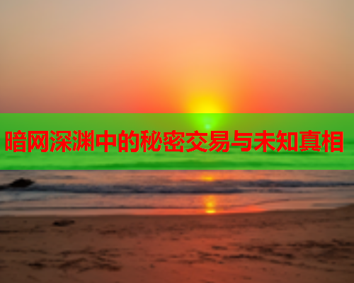 暗网深渊中的秘密交易与未知真相