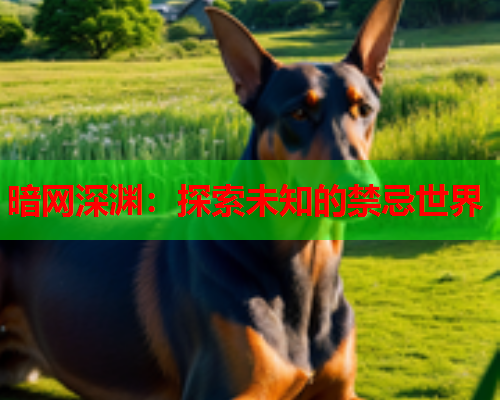 暗网深渊：探索未知的禁忌世界
