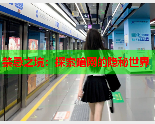 禁忌之境：探索暗网的隐秘世界