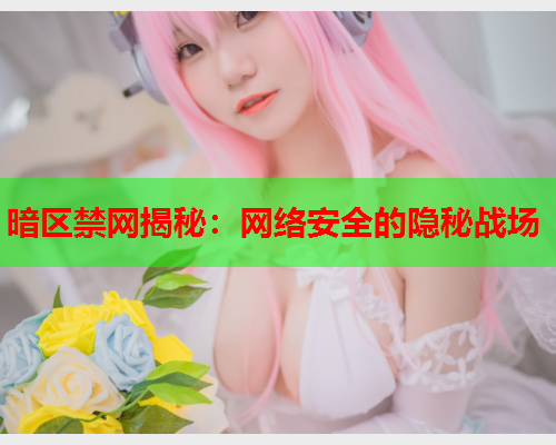 暗区禁网揭秘:网络安全的隐秘战场 暗区禁网揭秘:网络安全的隐秘战场